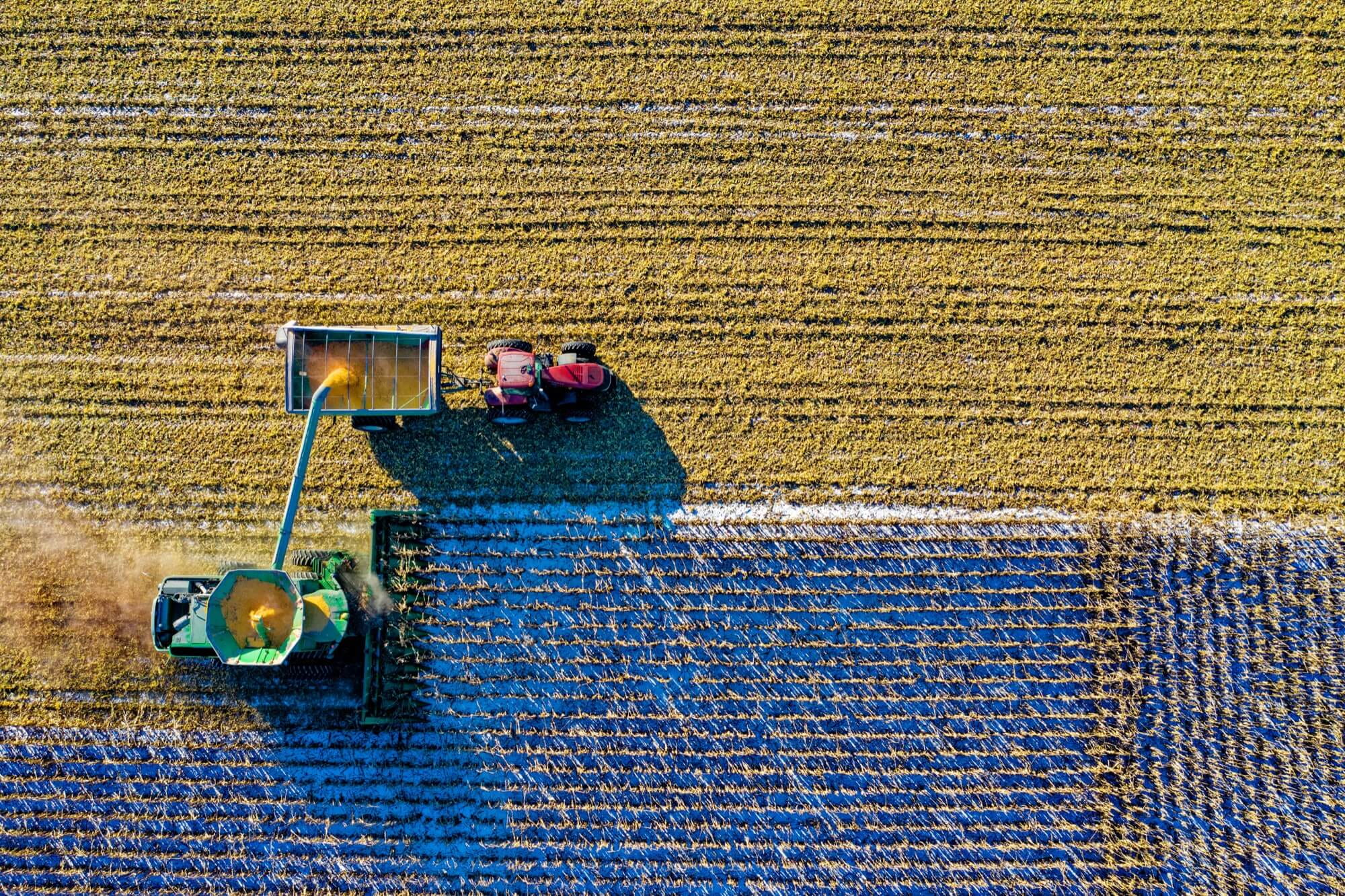 From Farm to Table. Supply Chain Management with Traceability and Verification
