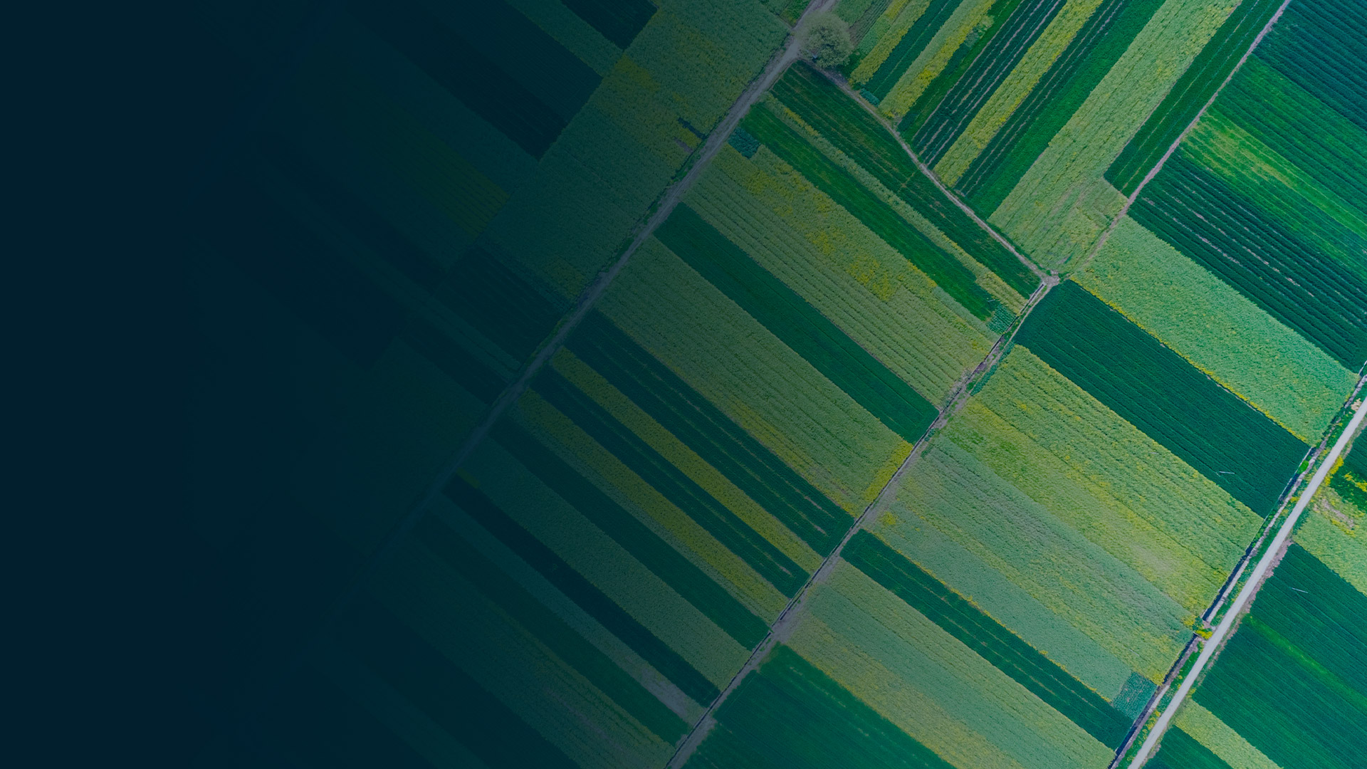   Food and Agriculture