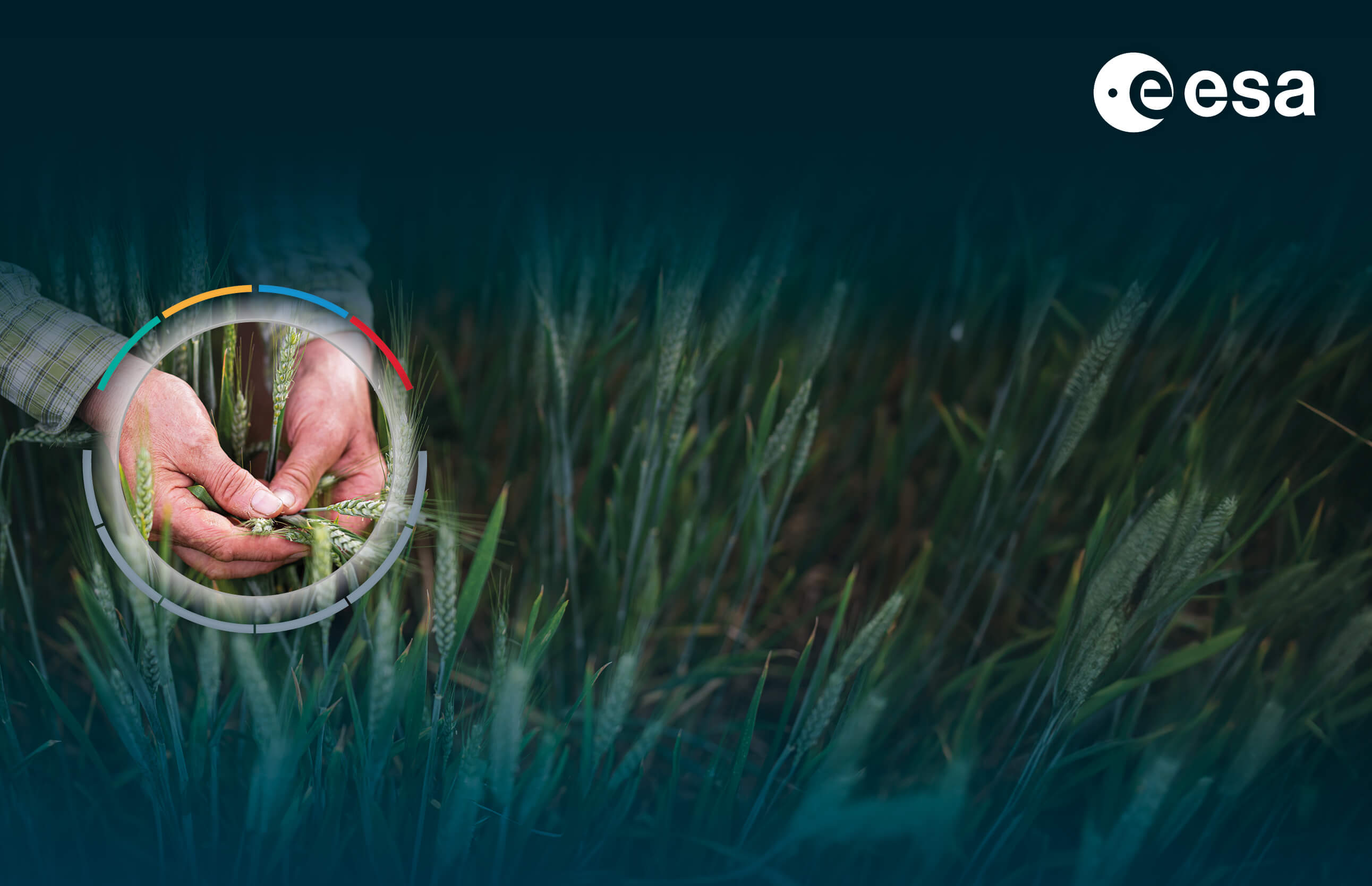 Space and sustainable agriculture: commercial opportunities and use cases