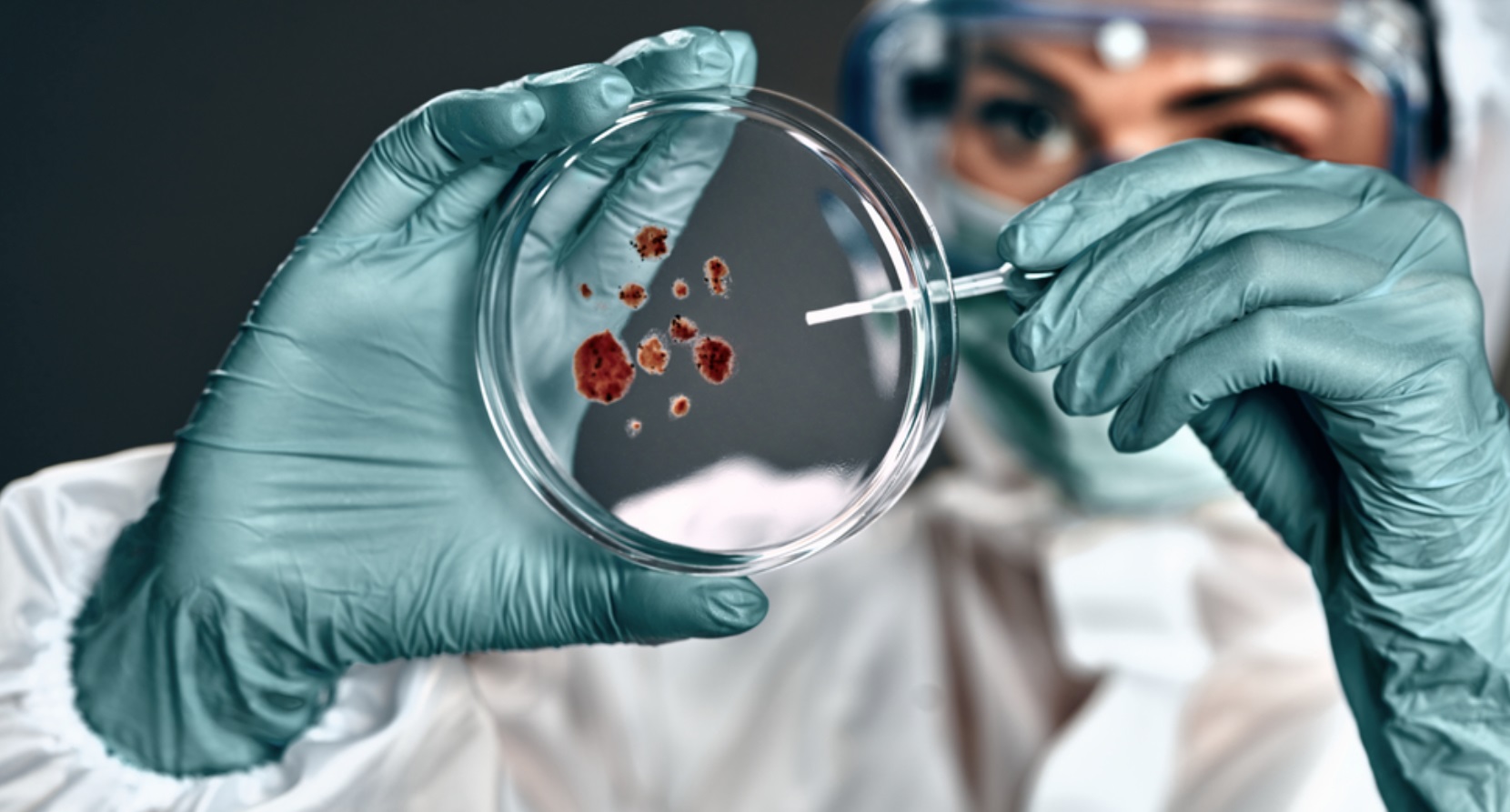 BSGN Life Science Industry Accelerator – 2nd Call for projects !